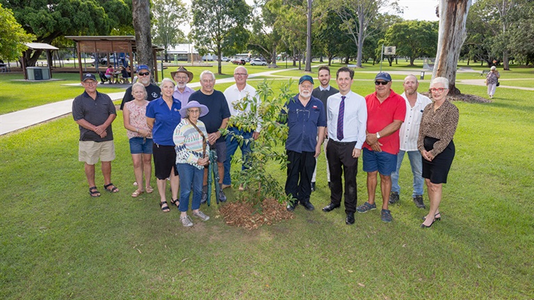A Kauri Pine planted at Brendan Hansen Park in Granville in memory of the late Peter Olds OAM